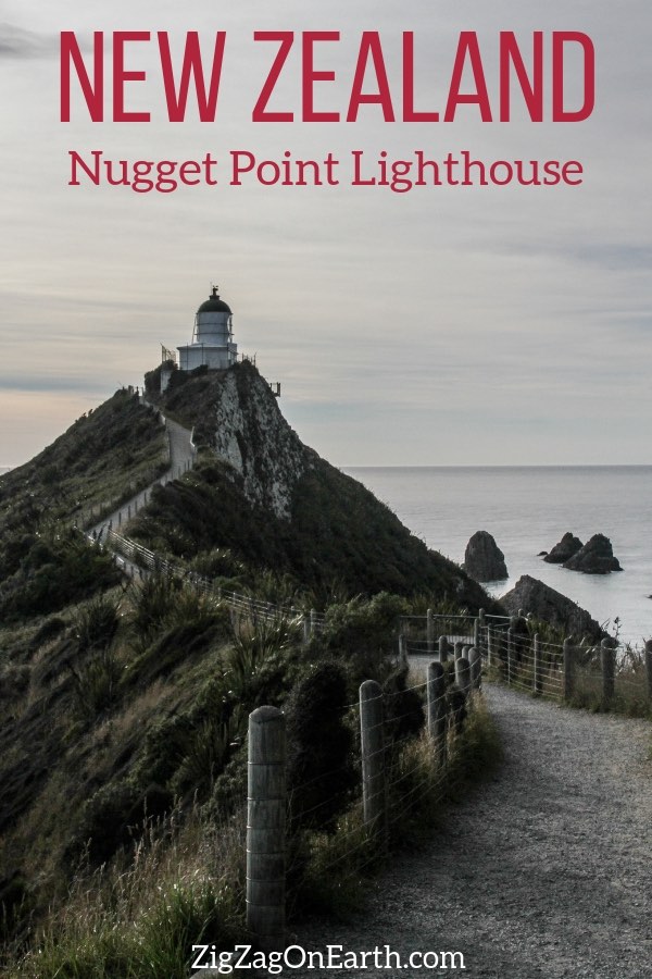 Nugget Point Lighthouse Nya Zeeland Resor