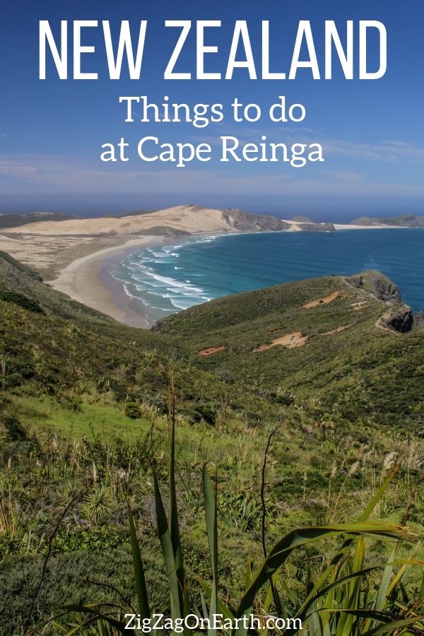 Things to do at Cape Reinga New Zealand Travel Guide Things to do at Cape Reinga New Zealand Travel Guide