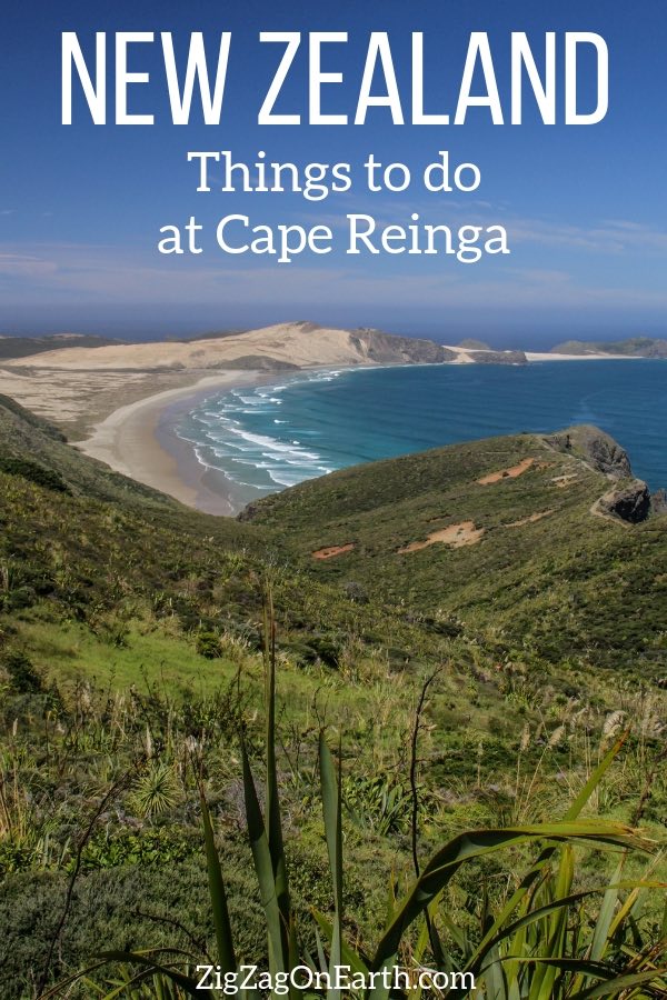 Things to do at Cape Reinga Castlepoint New Zealand Travel