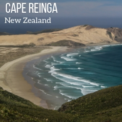 Things to do at Cape Reinga New Zealand Travel Guide
