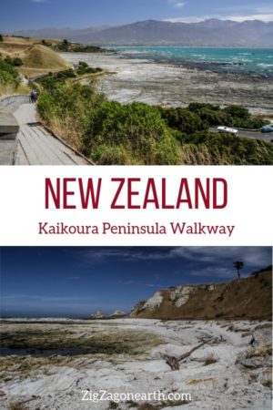 Kaikoura peninsula Walk New Zealand Pin2