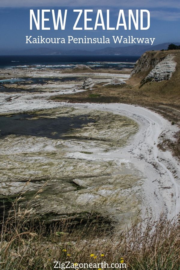 Kaikoura peninsula Walkway New Zealand Travel