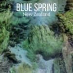 Blue Spring New Zealand Travel Guide