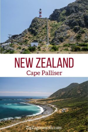 seals lighthouse Cape Palliser New Zealand Pin2