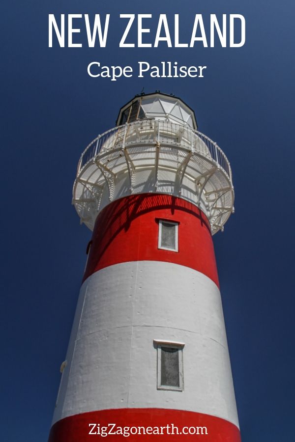 seals lighthouse Cape Palliser New Zealand Travel Pin3