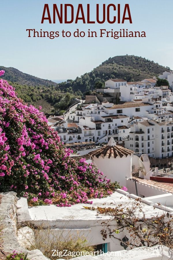 Things to do in Frigiliana Andalucia Travel Pin3