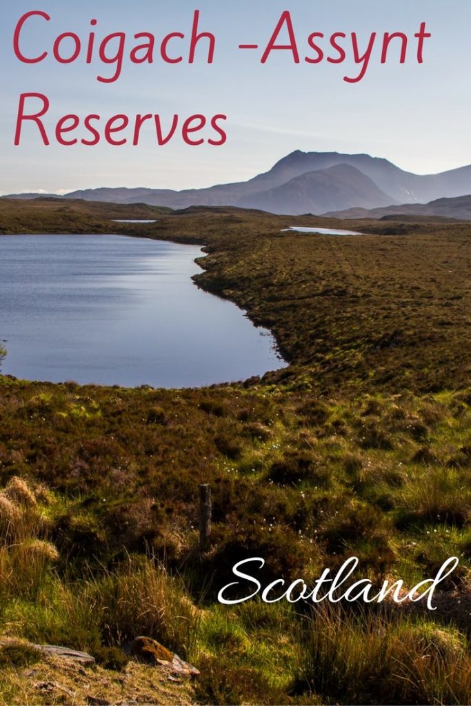 Coigach Assynt Reserve Loch Assynt Ardvreck Castle Drumbeg Loop Scotland