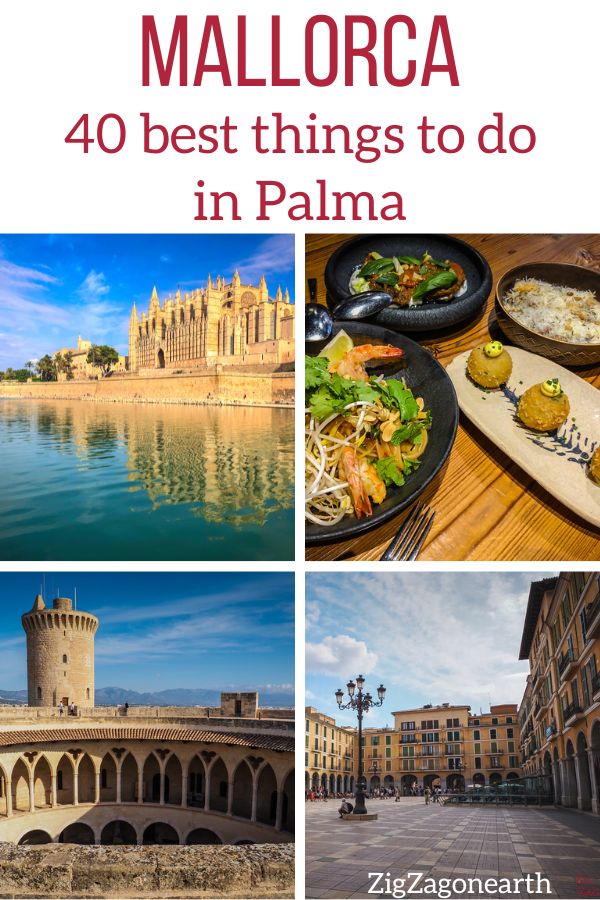 best things to do in Palma de Mallorca Pin