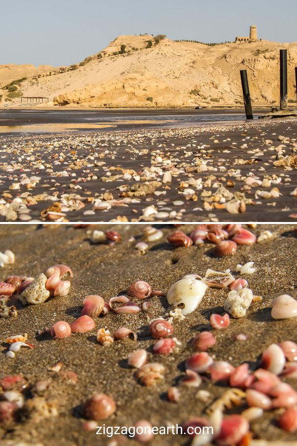 Al Sawadi Beach: skaller og udsigt