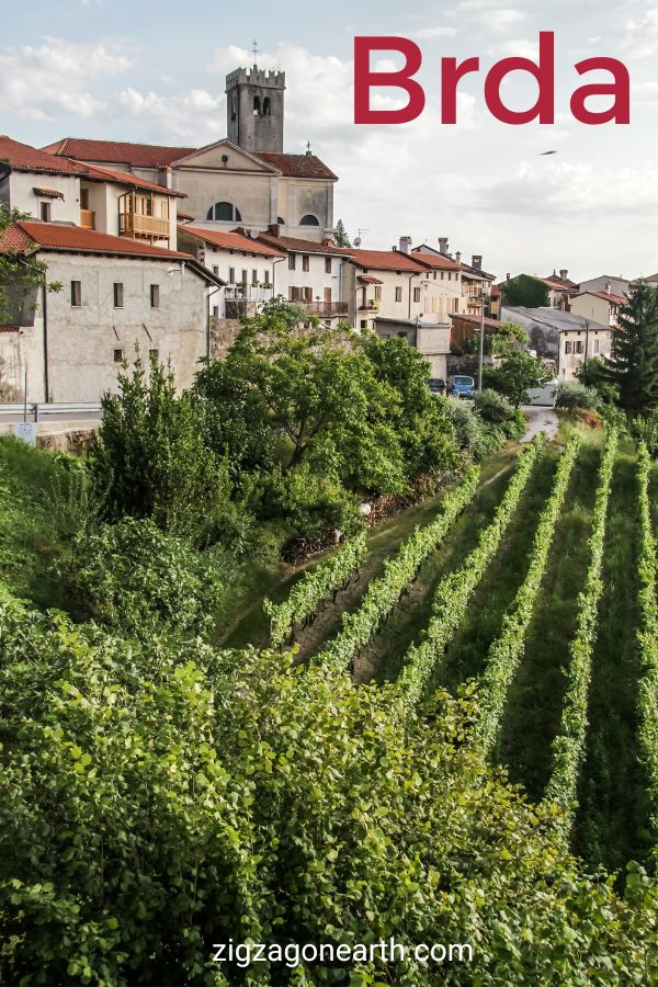 Kasteel Dobrovo Brda Regio Slovenië