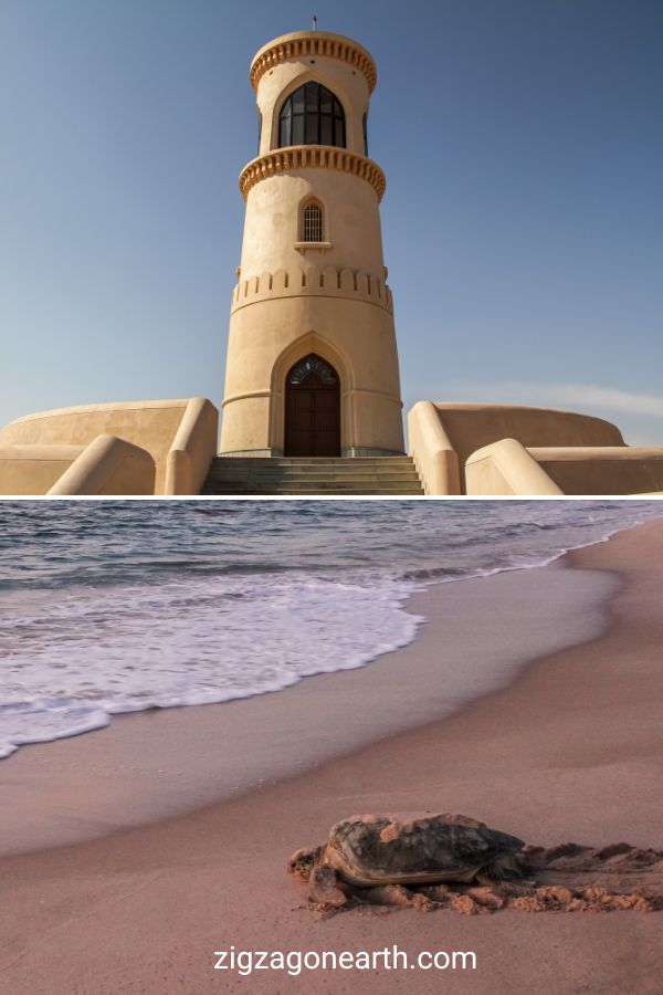 Bezienswaardigheden in Sur Oman Ras Al Jinz schildpaddenreservaat