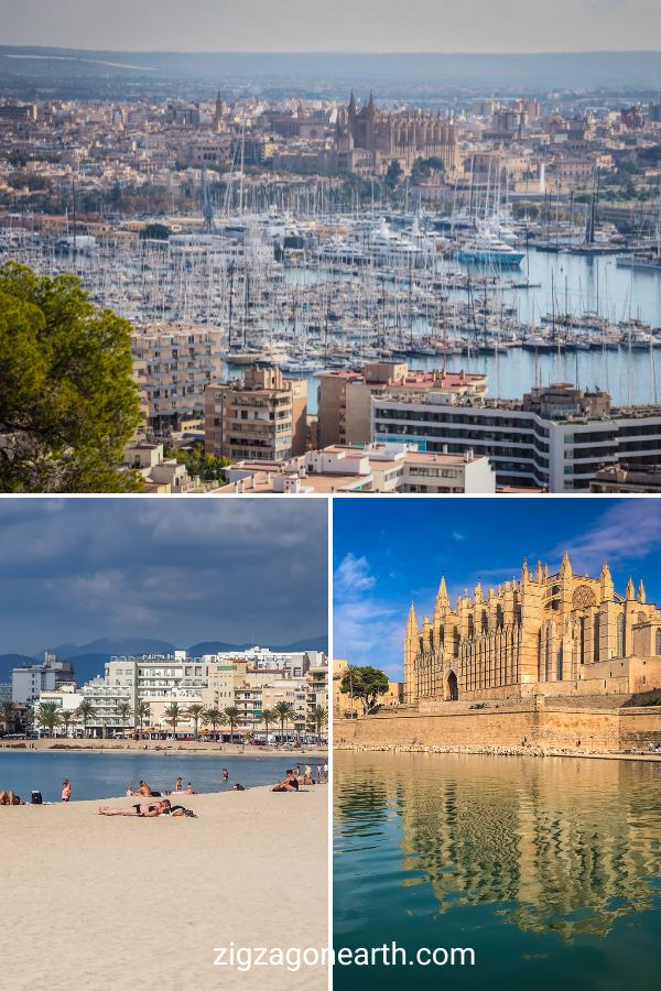Hvor skal man bo i Palma de mallorca bedste områder hoteller