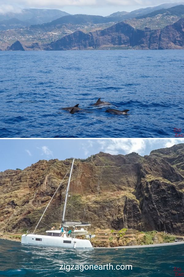 Madeira Gite in barca tour Funchal Pin