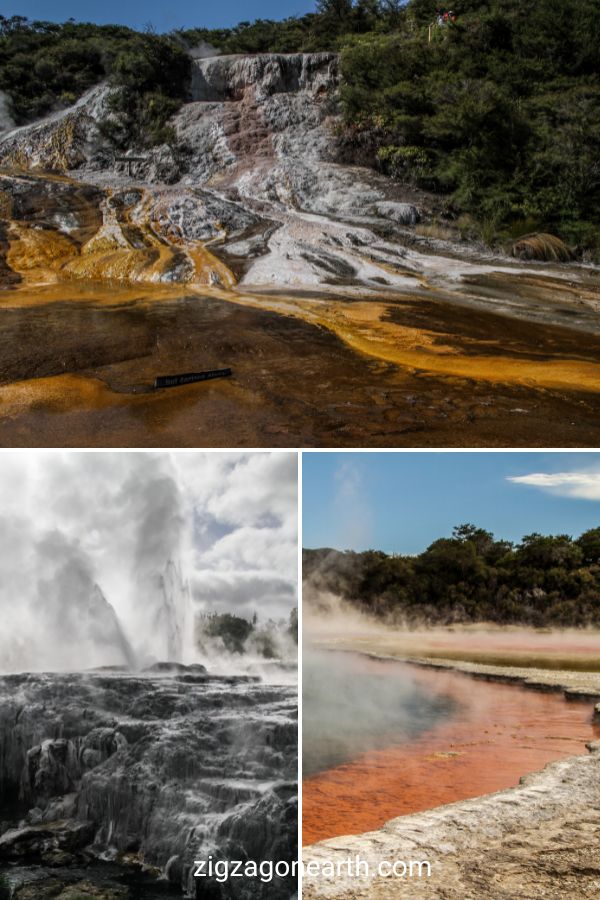 bästa geotermiska parken i Rotorua Nya Zeeland Resor