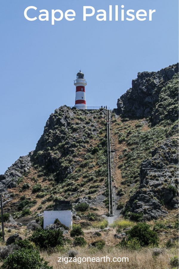 zeehonden vuurtoren Cape Palliser Nieuw-Zeeland Travel Pin3