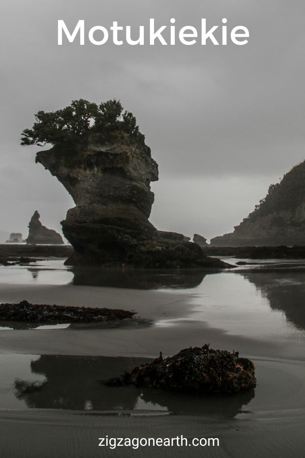 Motukiekie strand New Zealand Rejser