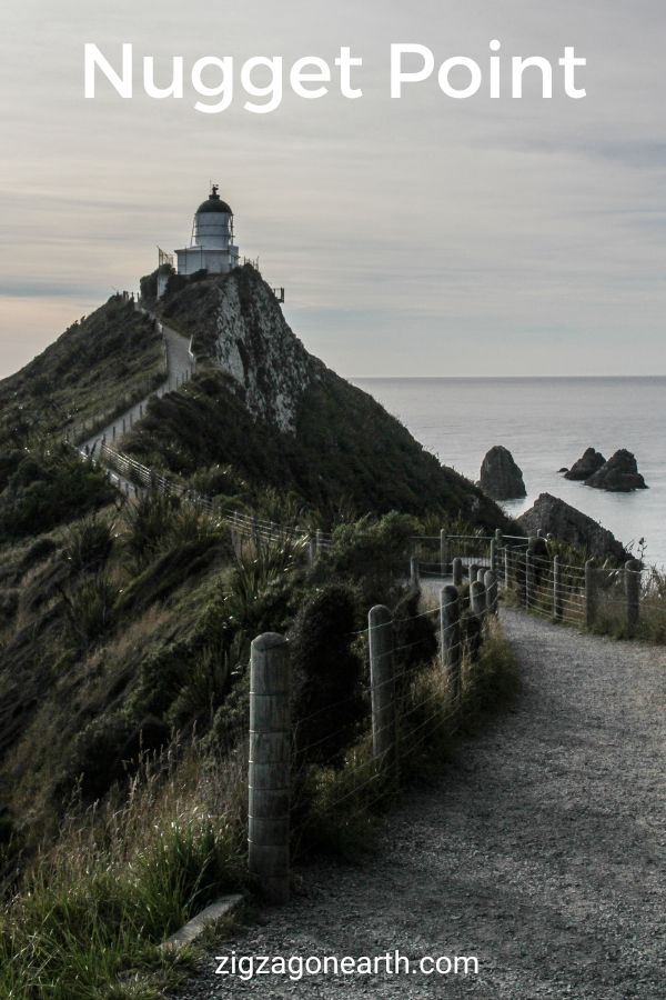 Nugget Point Lighthouse New Zealand Rejser