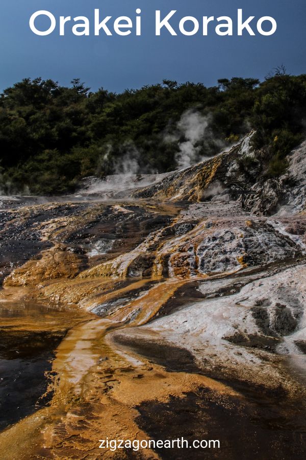 Thermisch park Orakei Korako Nieuw-Zeeland Reizen Pin3