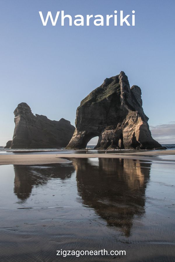 Wharariki Beach (isole ad arco e cuccioli di foca)