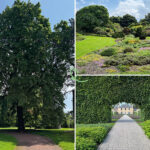 visit garden royal botanic garden edinburgh