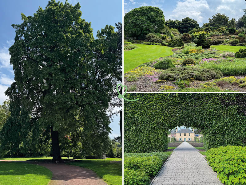 visit garden royal botanic garden edinburgh